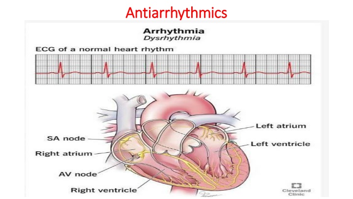 antiarrhythmics antiarrhythmics