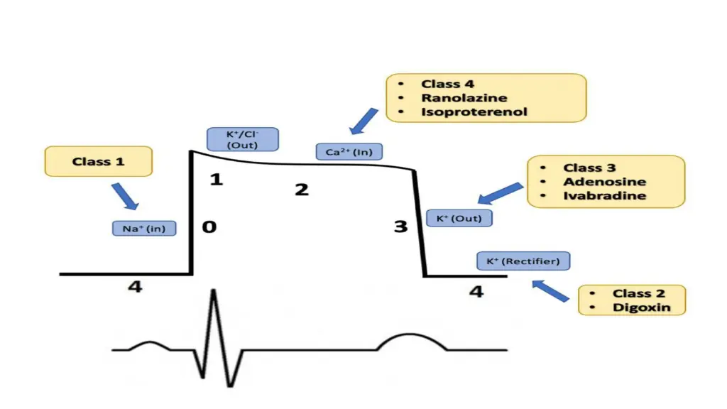 slide6