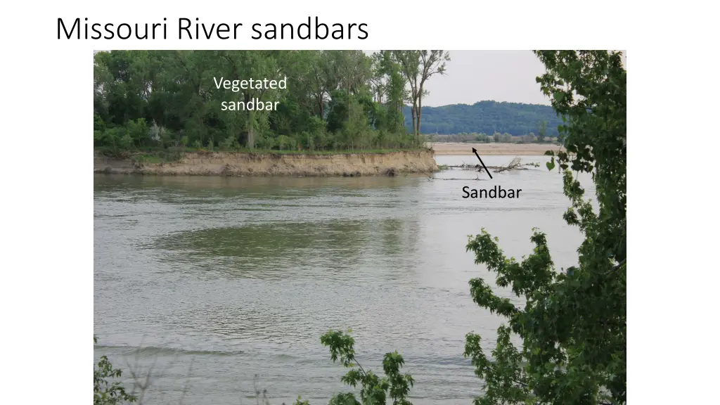 missouri river sandbars