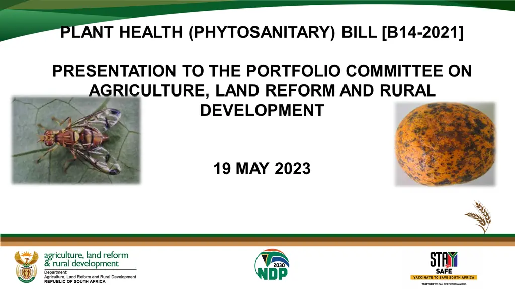 plant health phytosanitary bill b14 2021