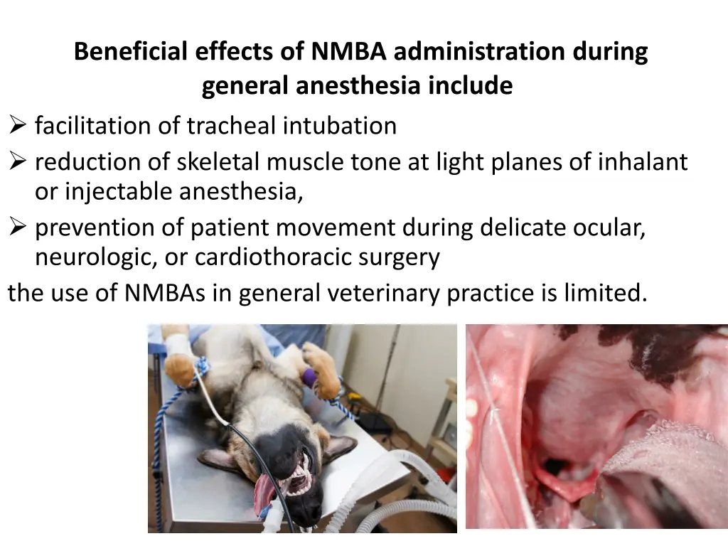 beneficial effects of nmba administration during