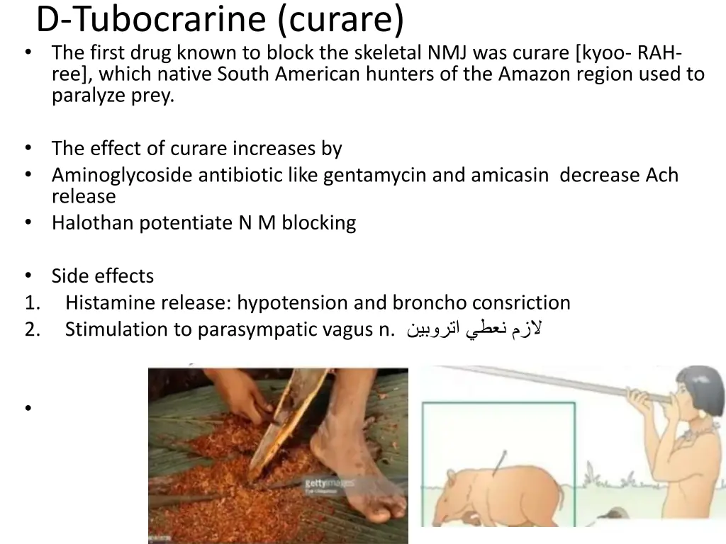 d tubocrarine curare the first drug known