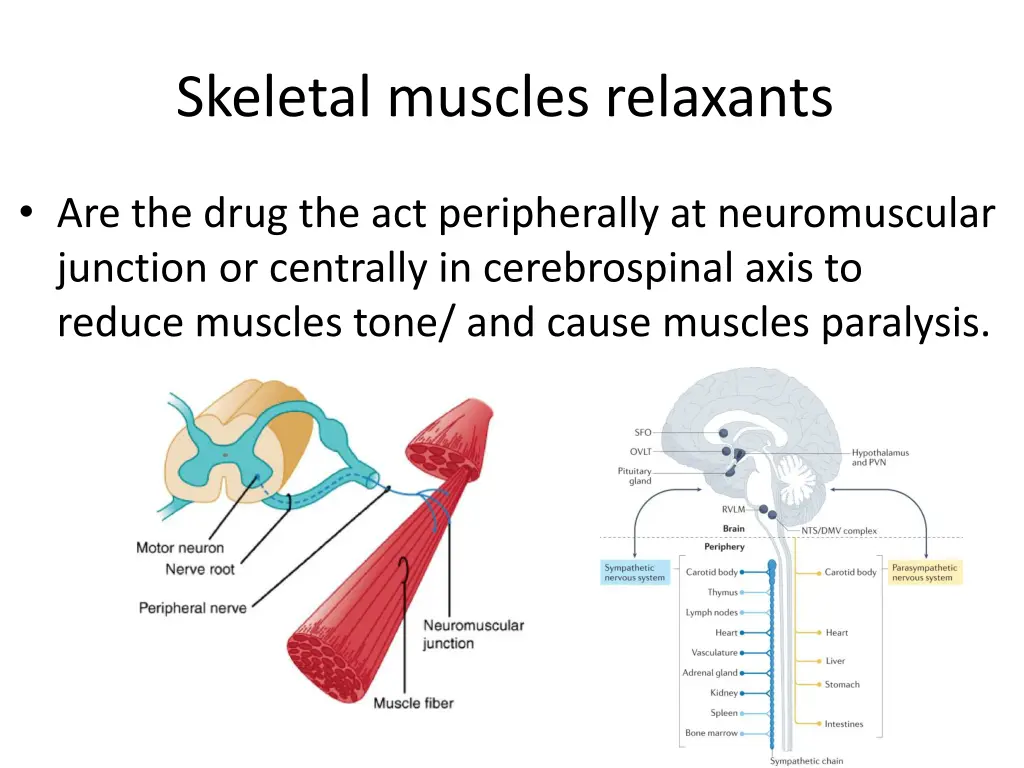 skeletal muscles relaxants