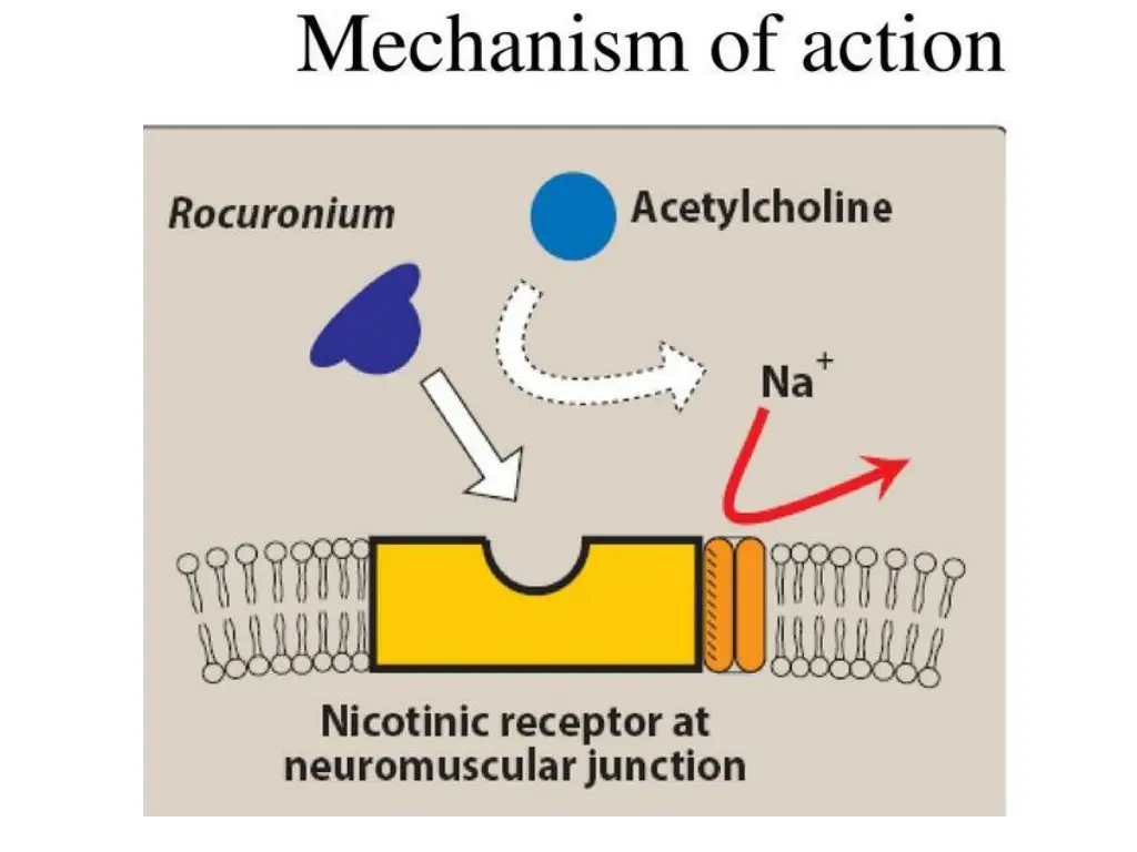 slide10