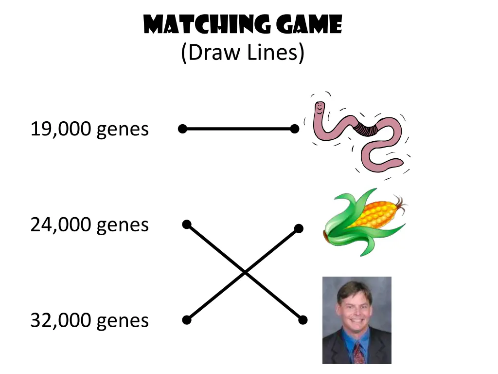 matching game draw lines 1