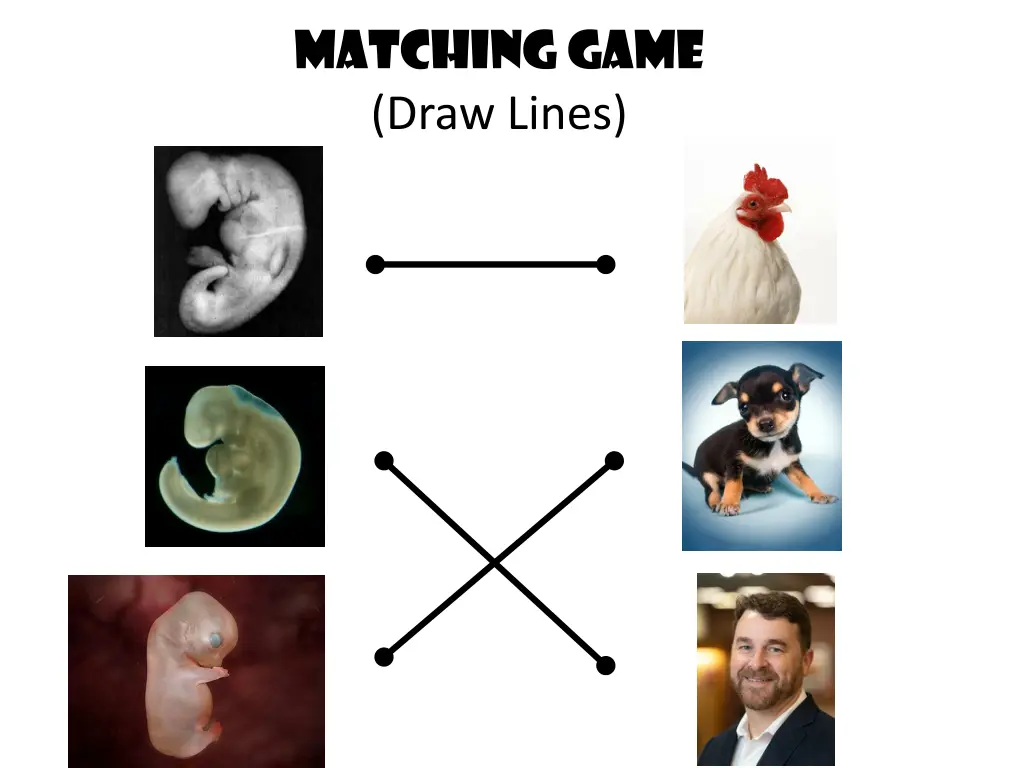matching game draw lines
