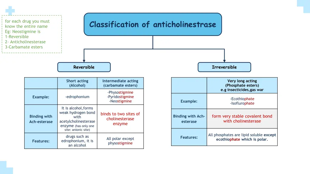 classification of anticholinestrase