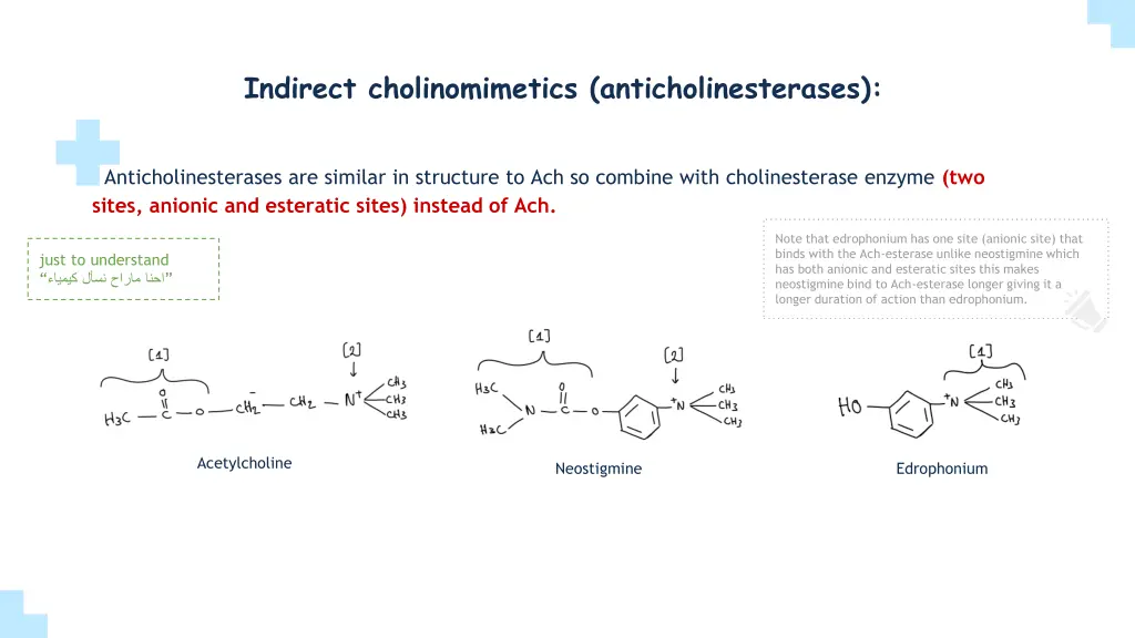 indirect cholinomimetics anticholinesterases 1