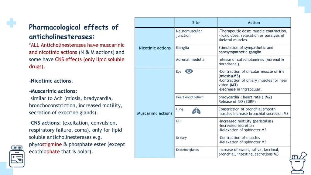 slide6