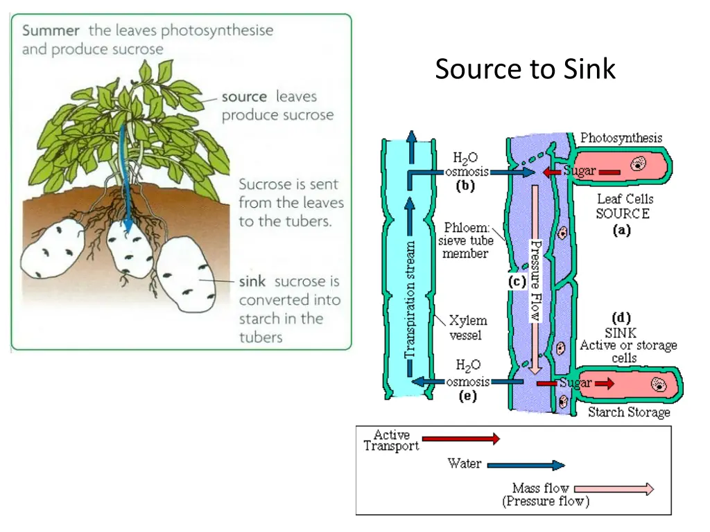 source to sink