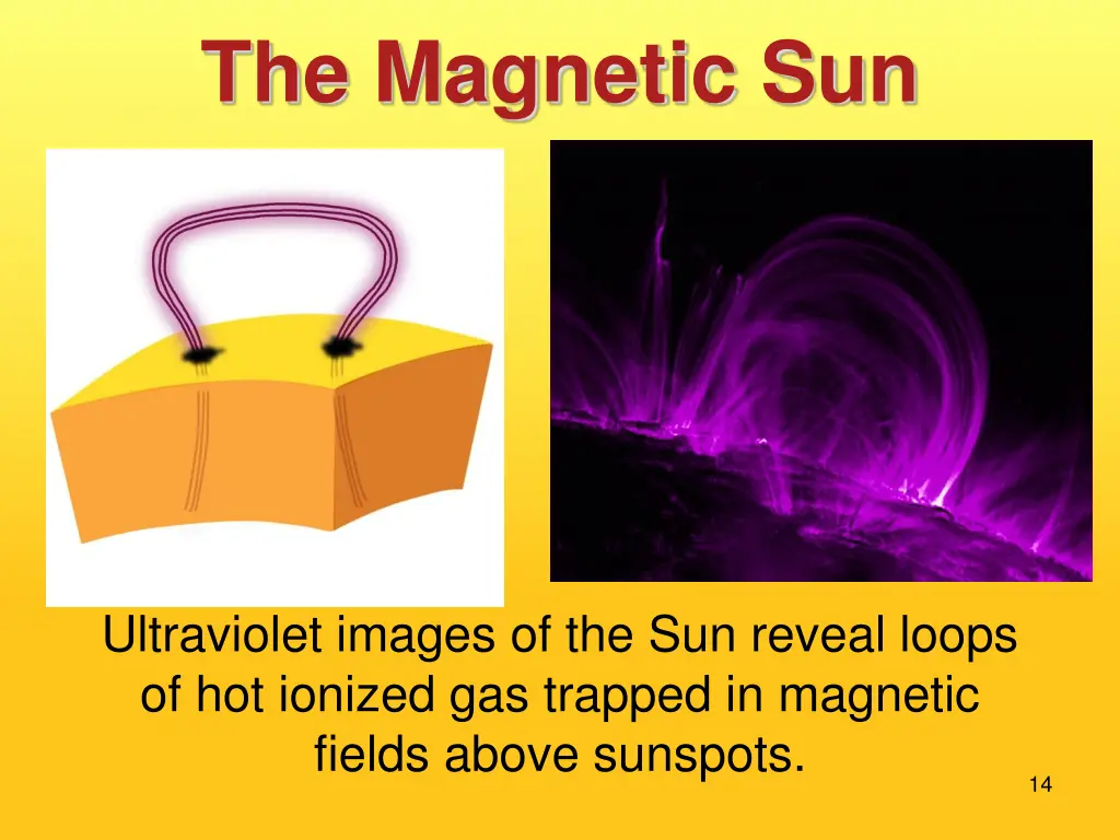 the magnetic sun