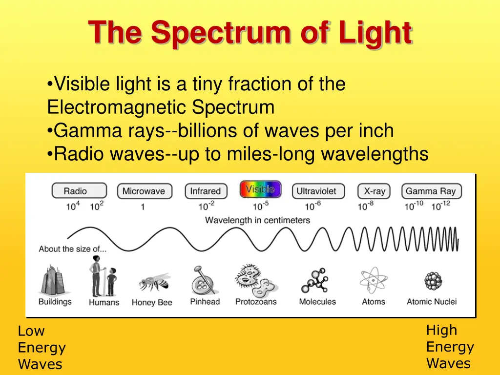 the spectrum of light