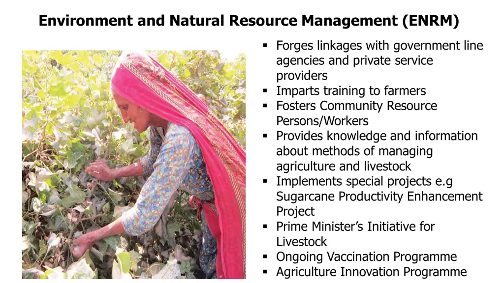 environment and natural resource management enrm