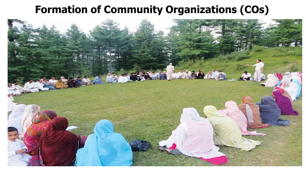 formation of community organizations cos