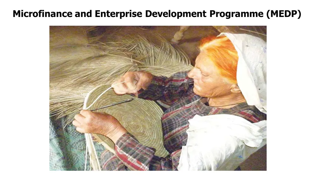 microfinance and enterprise development programme