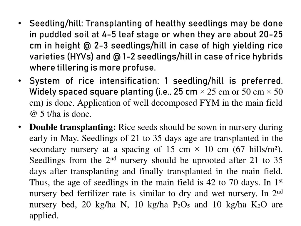 seedling hill transplanting of healthy seedlings