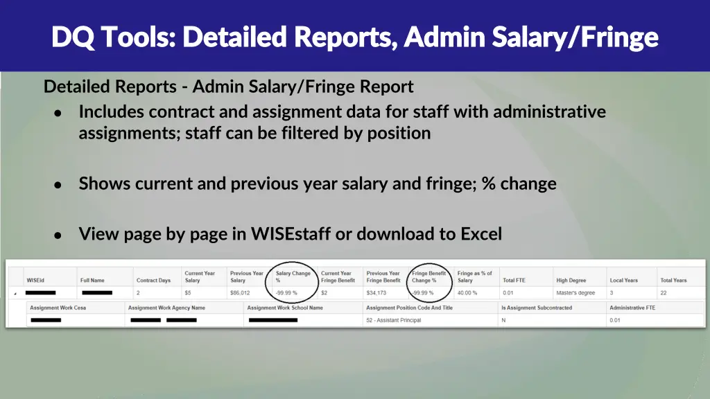 dq tools detailed reports admin salary fringe