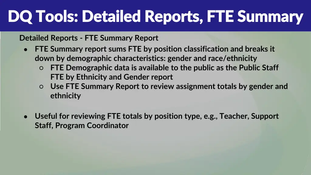 dq tools detailed reports fte summary dq tools