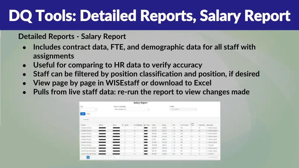 dq tools detailed reports salary report dq tools