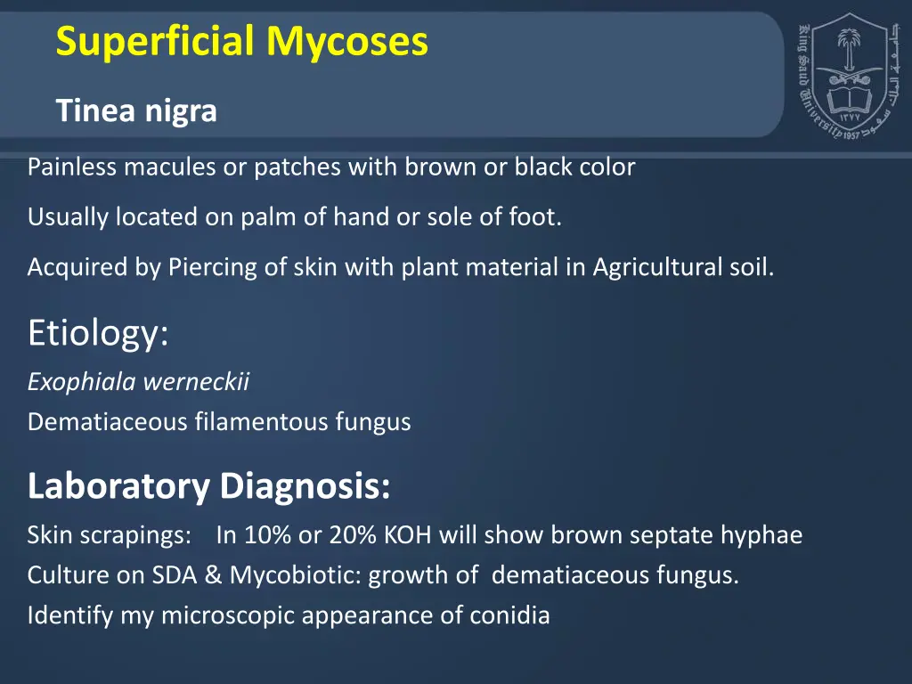 superficial mycoses 2