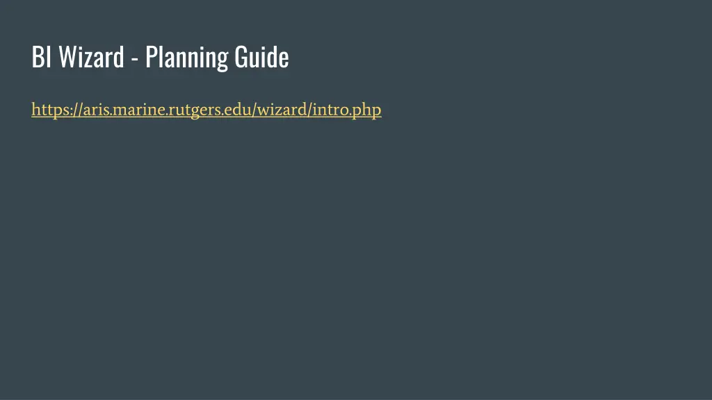 bi wizard planning guide