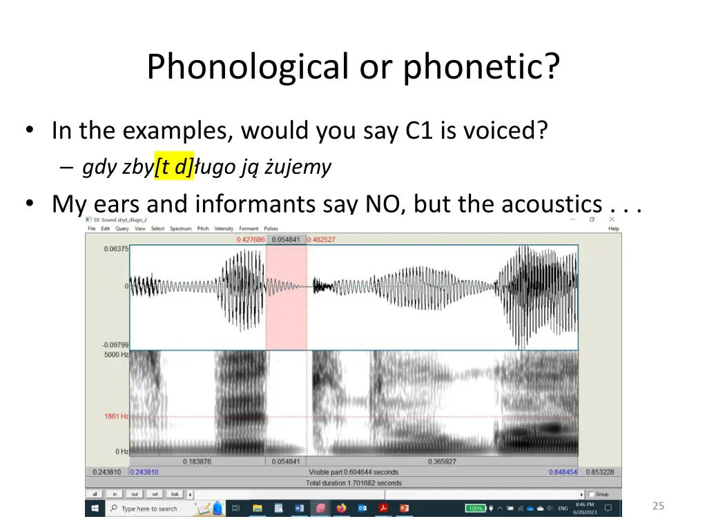phonological or phonetic 1