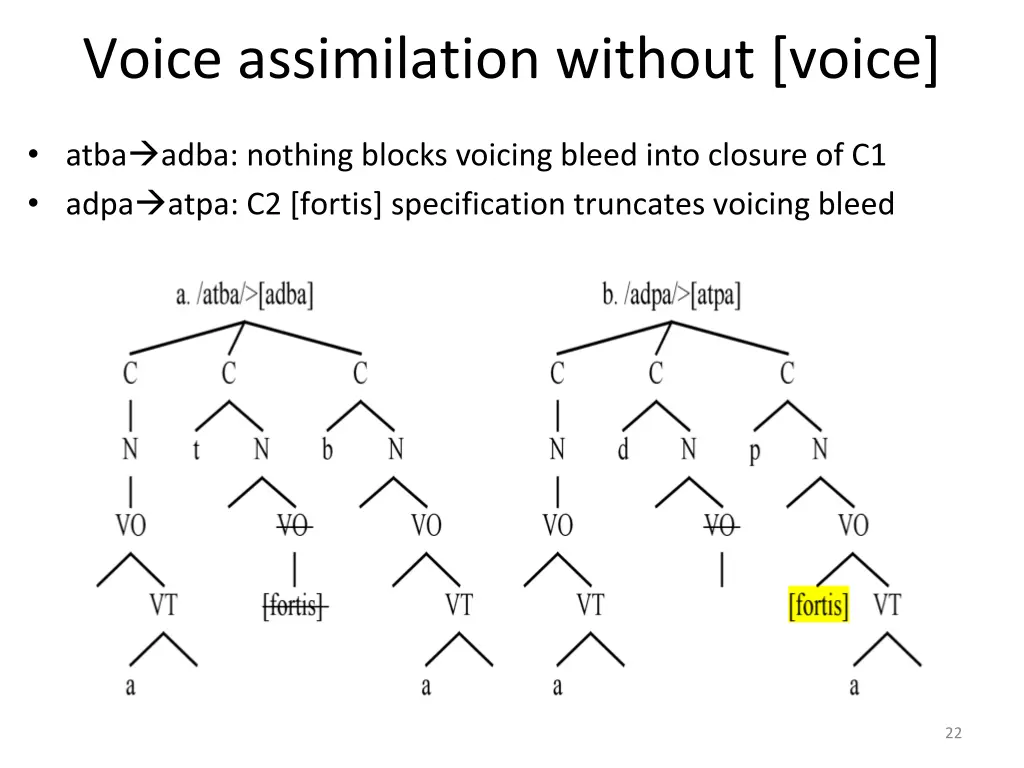 voice assimilation without voice