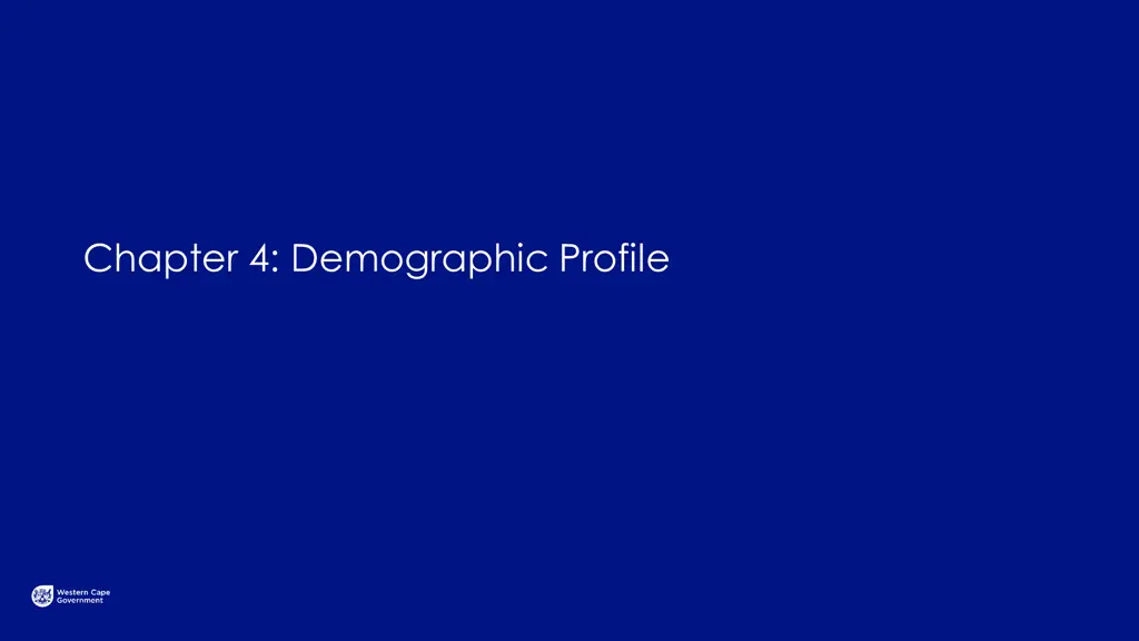 chapter 4 demographic profile