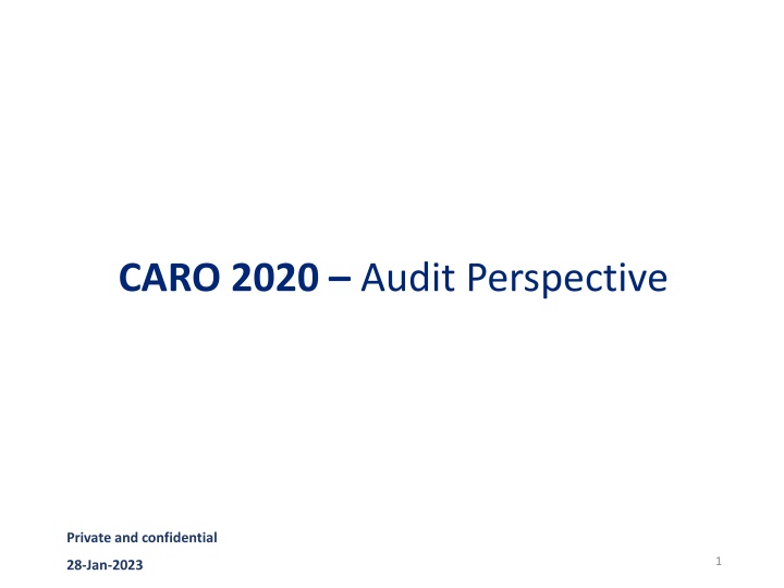 caro 2020 audit perspective