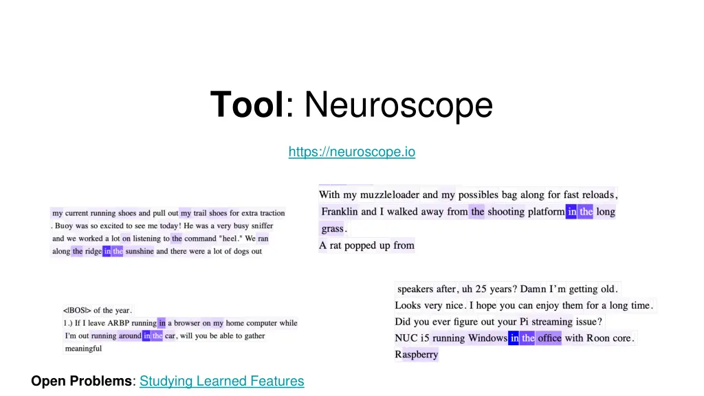 tool neuroscope