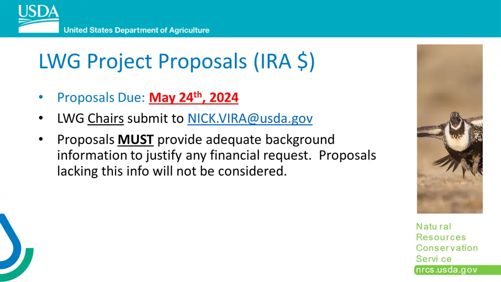 lwg project proposals ira