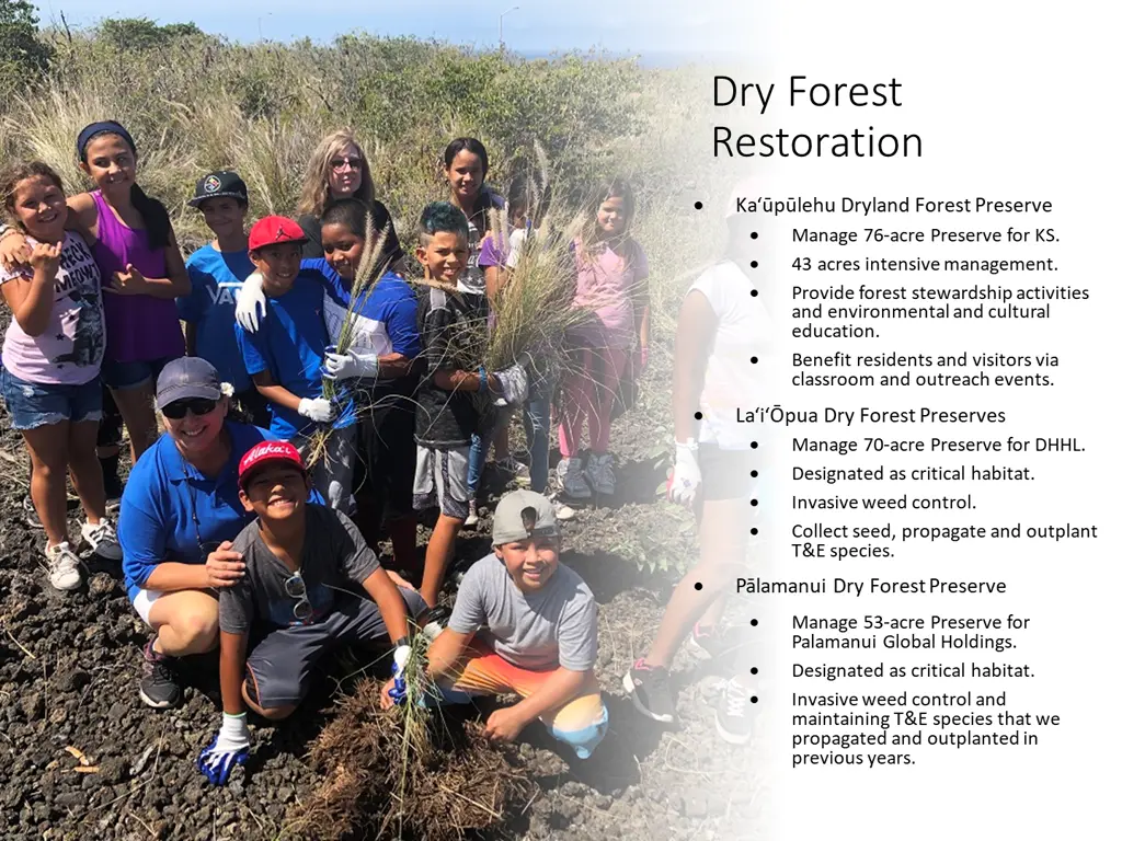 dry forest restoration