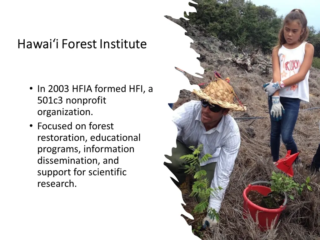 hawai i forest institute hawai i forest institute