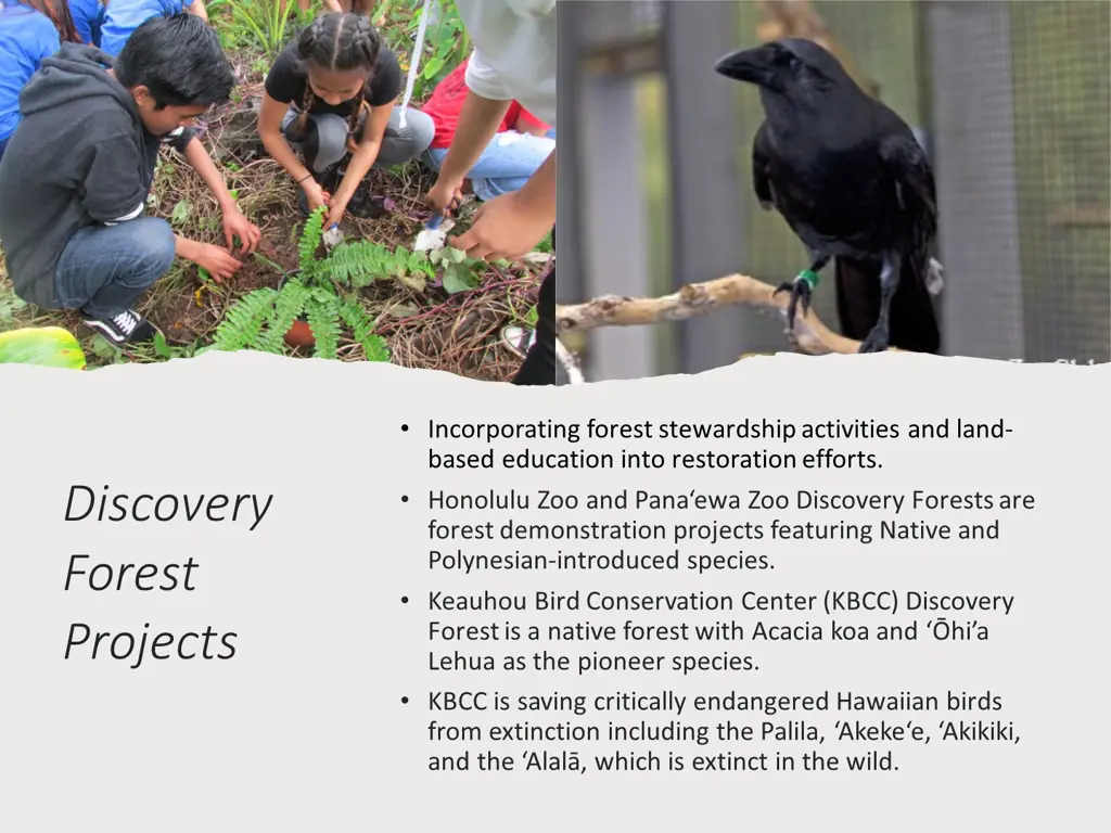 incorporating forest stewardship activities