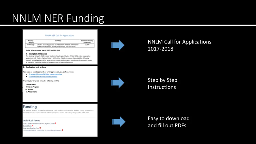 nnlm ner funding 1