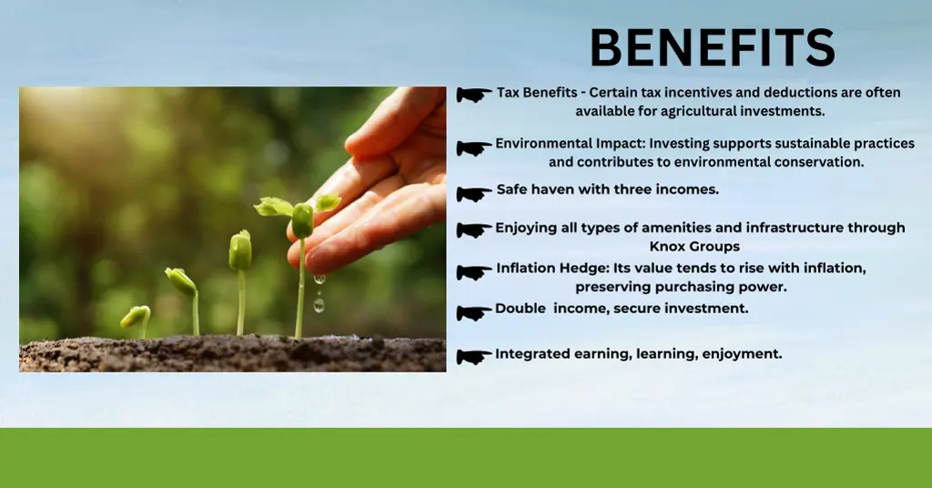 benefits tax benefits certain tax incentives