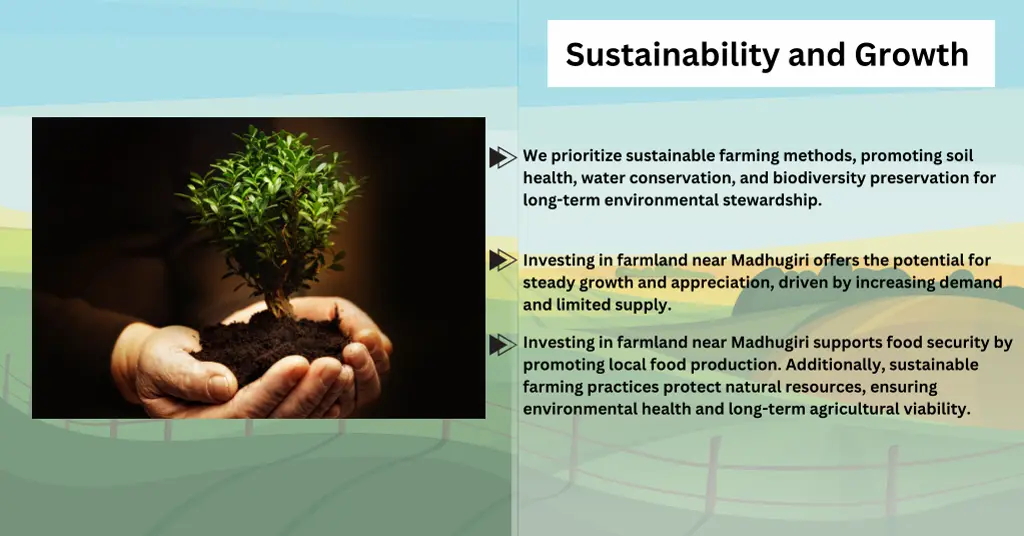 sustainability and growth