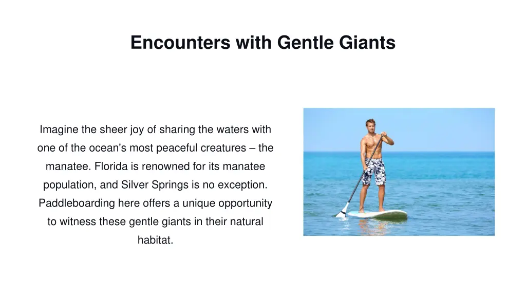 encounters with gentle giants