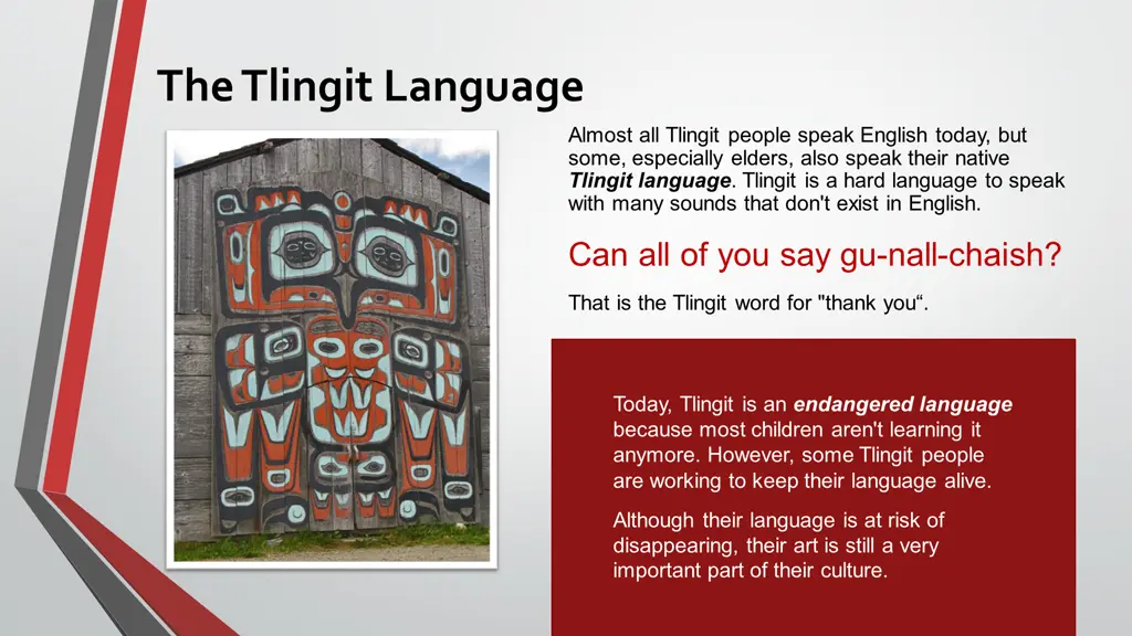 the tlingit language