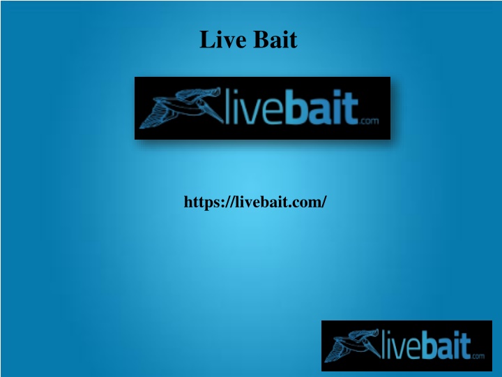 live bait