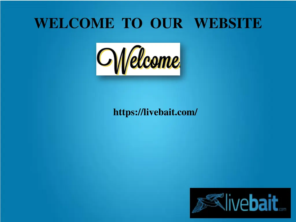 welcome to our website