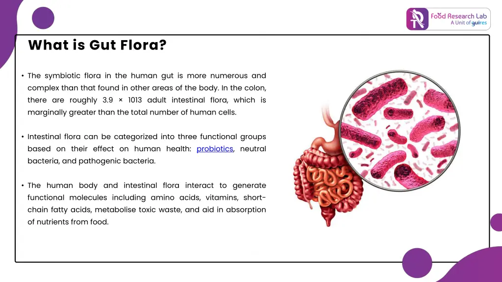 what is gut flora