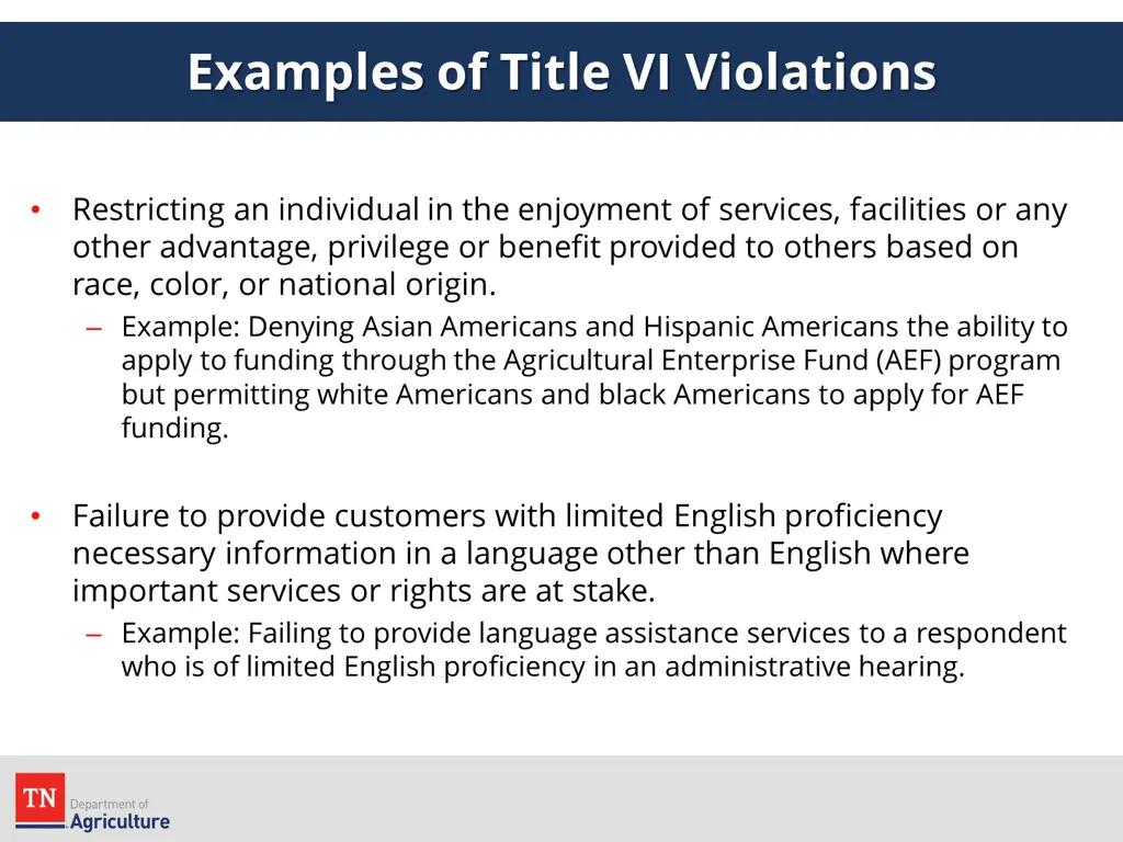 examples of title vi violations