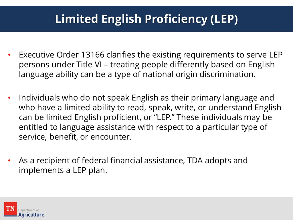 limited english proficiency lep