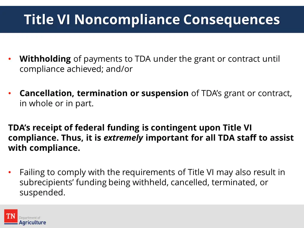 title vi noncompliance consequences