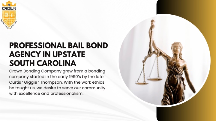 professional bail bond agency in upstate south