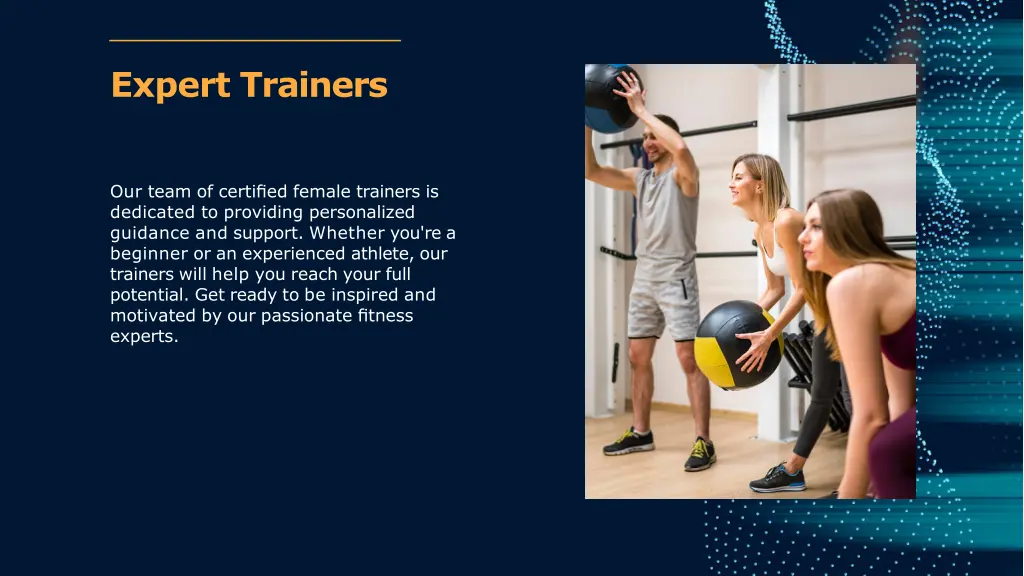 expert trainers