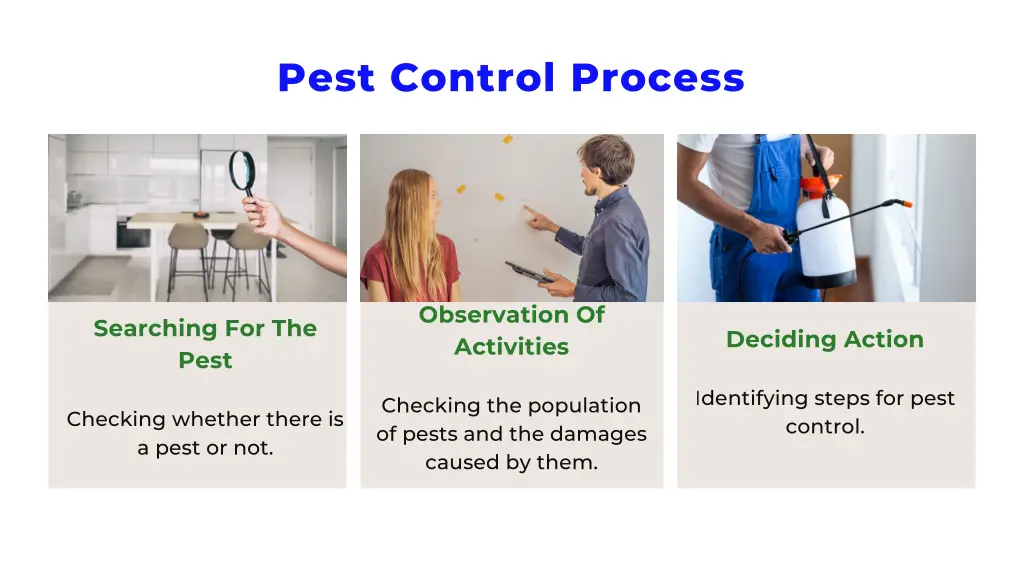 pest control process