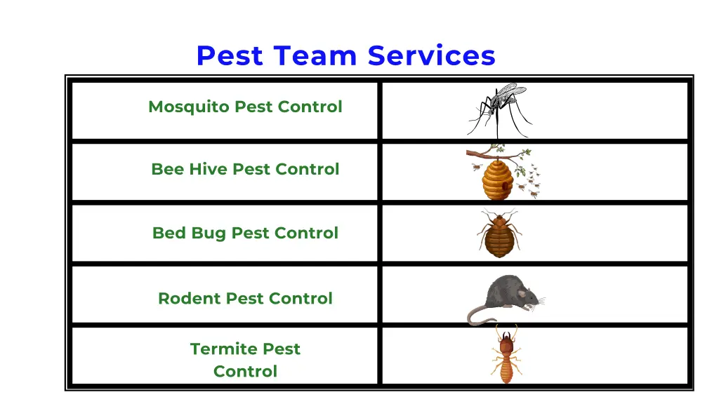 pest team services