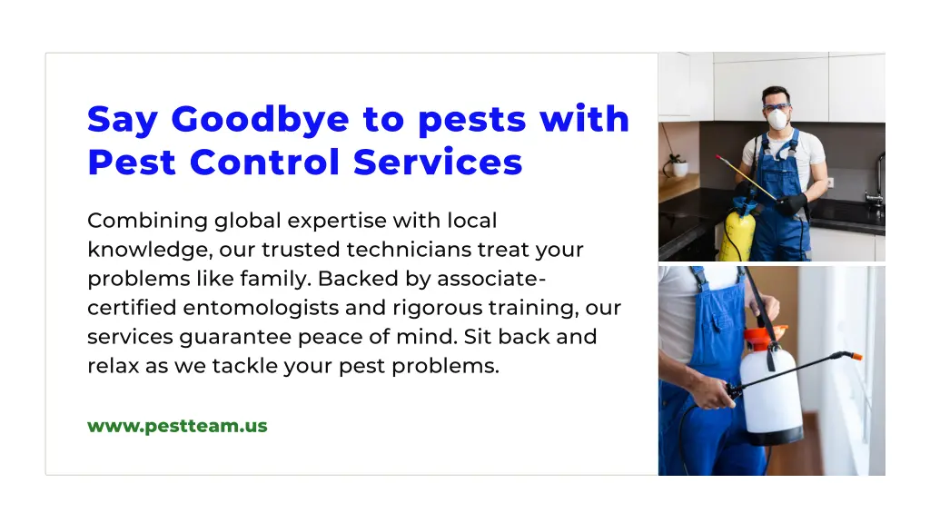 say goodbye to pests with pest control services